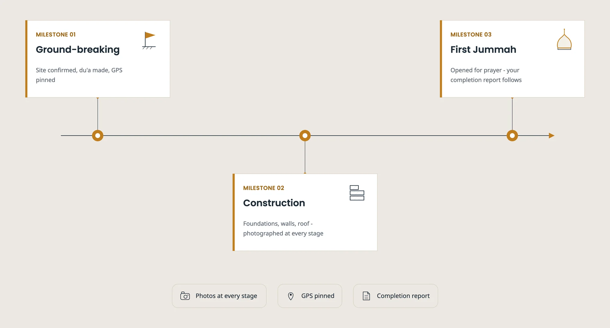 Step 05: Built and reported